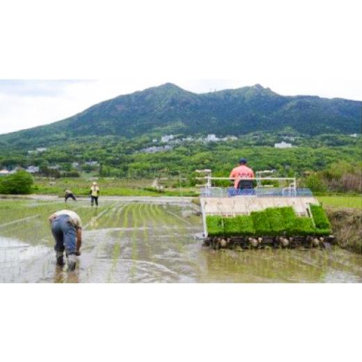 ふるさと納税 茨城県 筑西市  百笑米 「 天の恵 」 有機栽培 ミルキークイーン 5kg×12ヵ月 新米 米 コメ 茨城県 単一米 新生活…