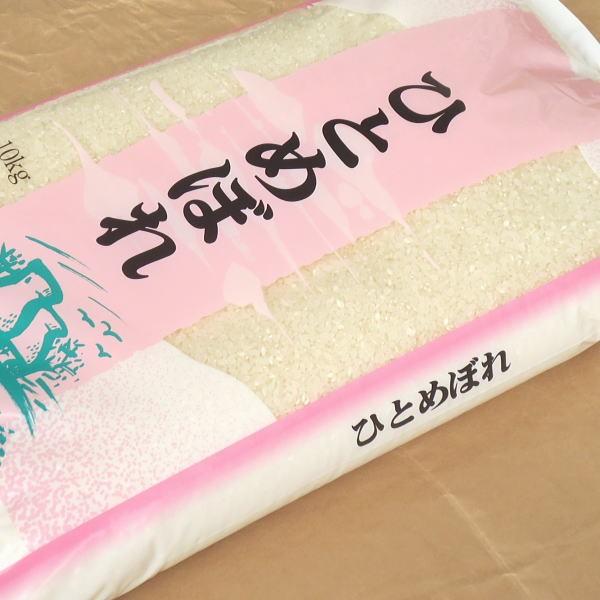 お米 10kg ひとめぼれ 白米 山形県 庄内 10kg×1袋 5年度産 新米