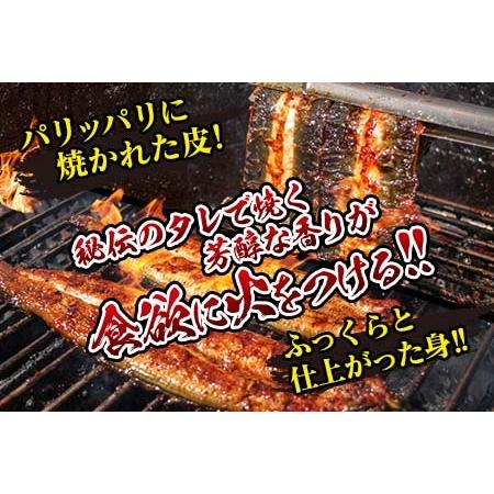 ふるさと納税 職人手焼きうなぎ蒲焼2尾(計260g以上)　鰻　ウナギ　魚　魚介　国産 CD40-23 宮崎県日南市