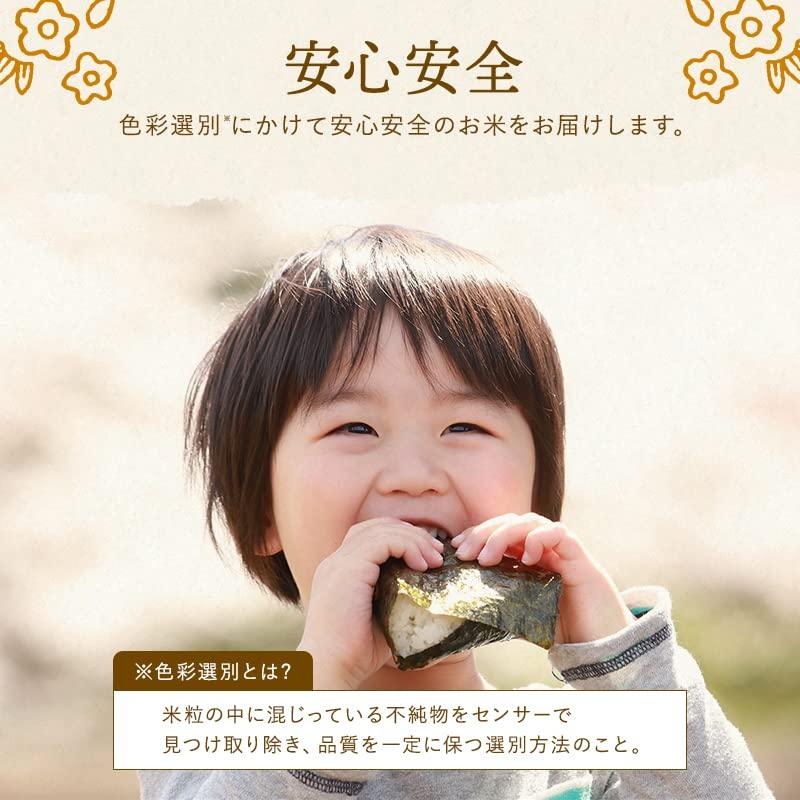 野沢農産 令和4年産 長野県産 コシヒカリ (5kg 無洗米)
