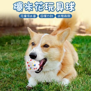 爆米花玩具球 寵物爆米花球 玩具球 ETPU 磨牙球 寵物玩具 寵物球 狗玩具 無聲球 磨牙玩具 狗狗彈力球