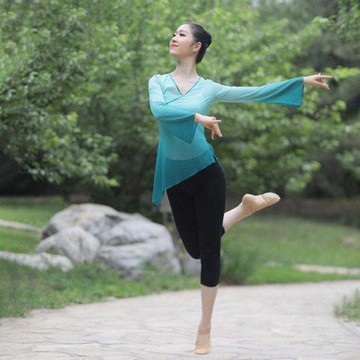 古典舞紗衣飄逸女成人練功服民族舞蹈演出服上衣舞蹈紗衣