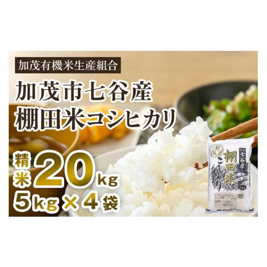 ふるさと納税 新潟県 加茂市 新潟県加茂市 七谷産 棚田米コシヒカリ 精米20kg（5kg×4）白米 加茂有機米生産組合