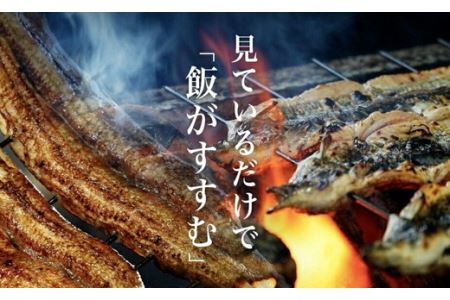 一色産うなぎ職人手焼き(蒲焼2尾)・U006-17