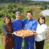 卵の黄身が掴めるほどの新鮮さ　美ら卵養鶏場の卵