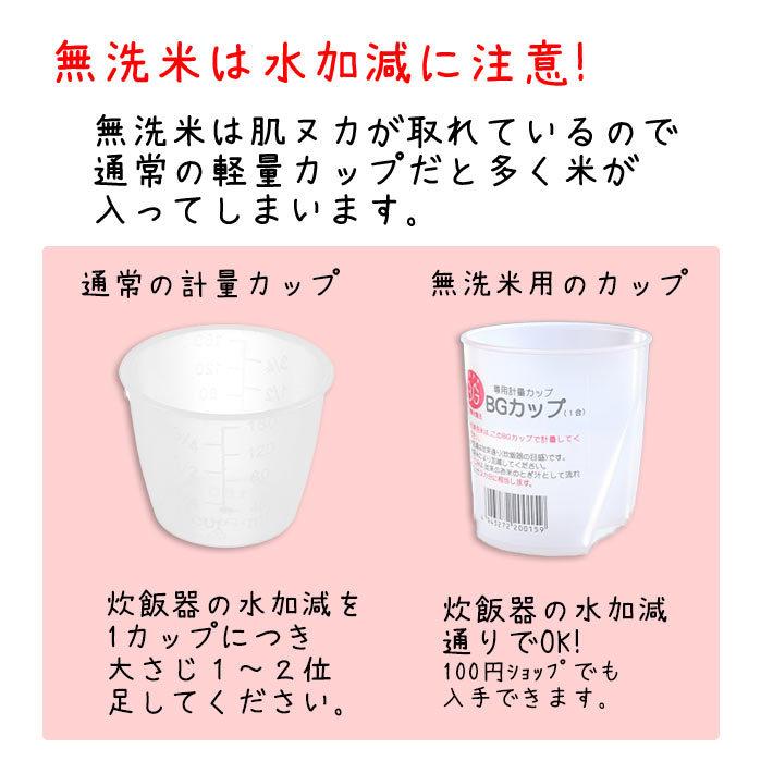 米 2023年度 令和5年度産 10kg 無洗米 はえぬき 5kg×2 山形県産 BG無洗米 東北食糧 送料無料