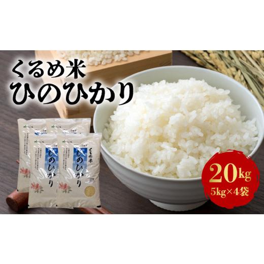 ふるさと納税 福岡県 久留米市 くるめ米「ひのひかり」　20kg