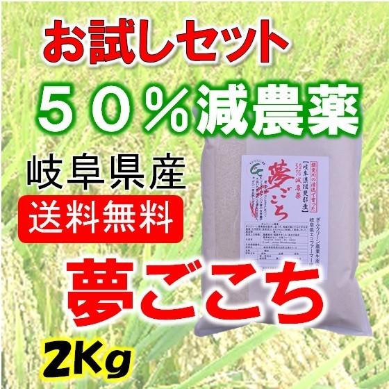 令和５年産　特別栽培米　岐阜県産 夢ごこち 白米２Kg 北海道・沖縄・離島は追加送料