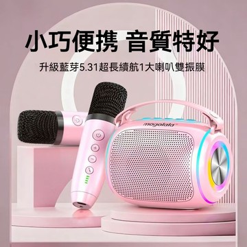 ✅隔日到貨+現貨✅雙麥克風喇叭 家庭K歌音響 戶外行動K歌音響 手機藍牙連接 禮物交換小朋友