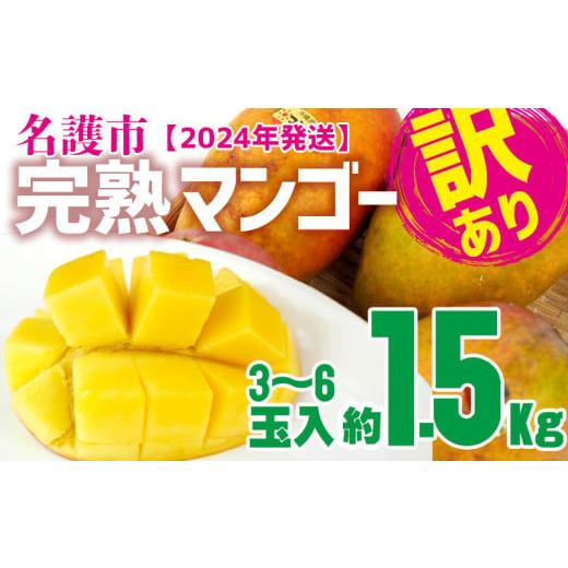 ふるさと納税 沖縄県 名護市 名護市完熟マンゴー　約1.5kg（3〜6玉入）