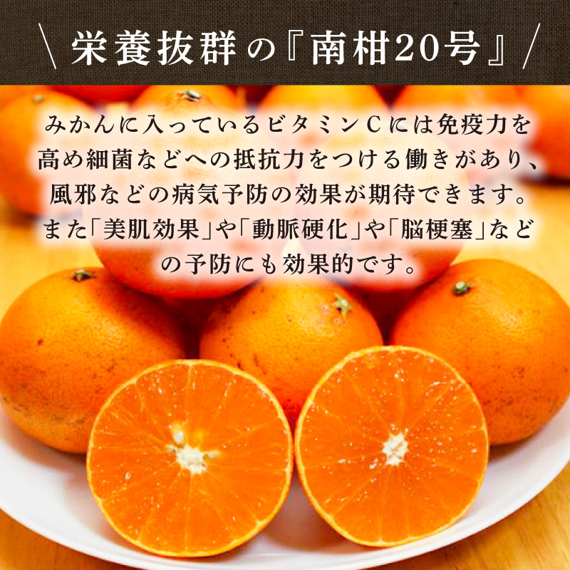 うえださん家の有機みかん 無添加 25g×3袋セット 合計75g 単品 国産ドライフルーツ