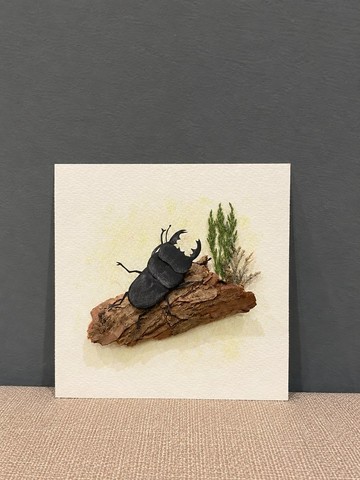 手工 昆蟲紙藝 - 鍬形蟲 / 居家擺設 療癒手作 生日送禮