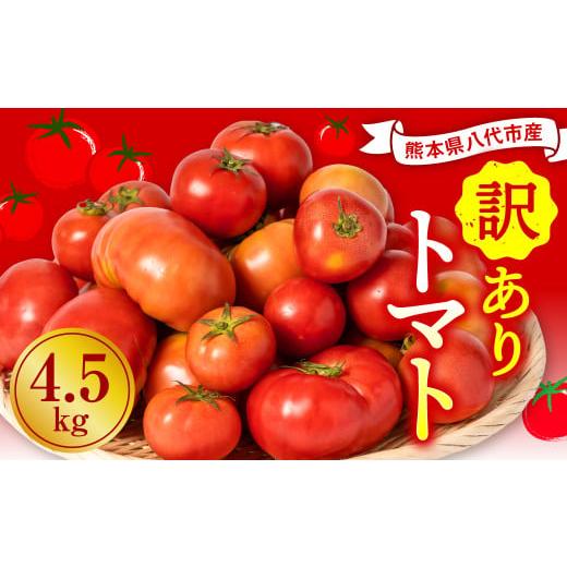 ふるさと納税 熊本県 八代市    八代市産 規格外トマト 4.5kg 熊本県 トマト 野菜