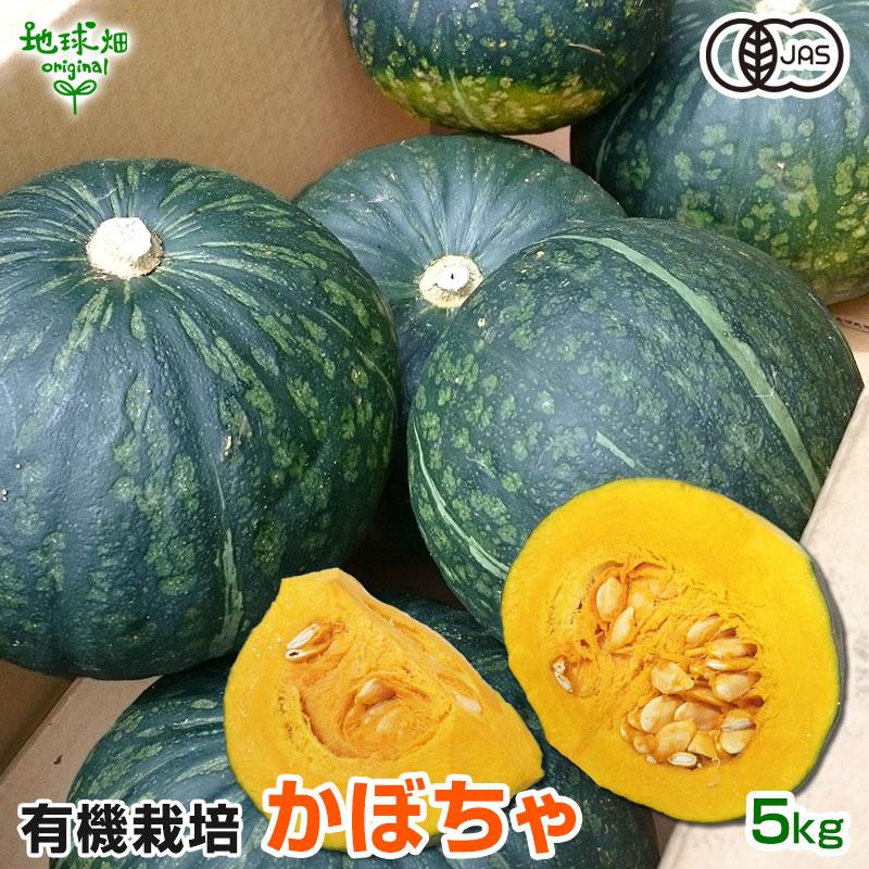 有機かぼちゃ 5kg(2〜4玉) 鹿児島県産 宮崎県産 栗系品種 有機栽培 有機JAS 南瓜 オーガニック カボチャ 南京 無農薬 発送期間6〜7月 11〜12月