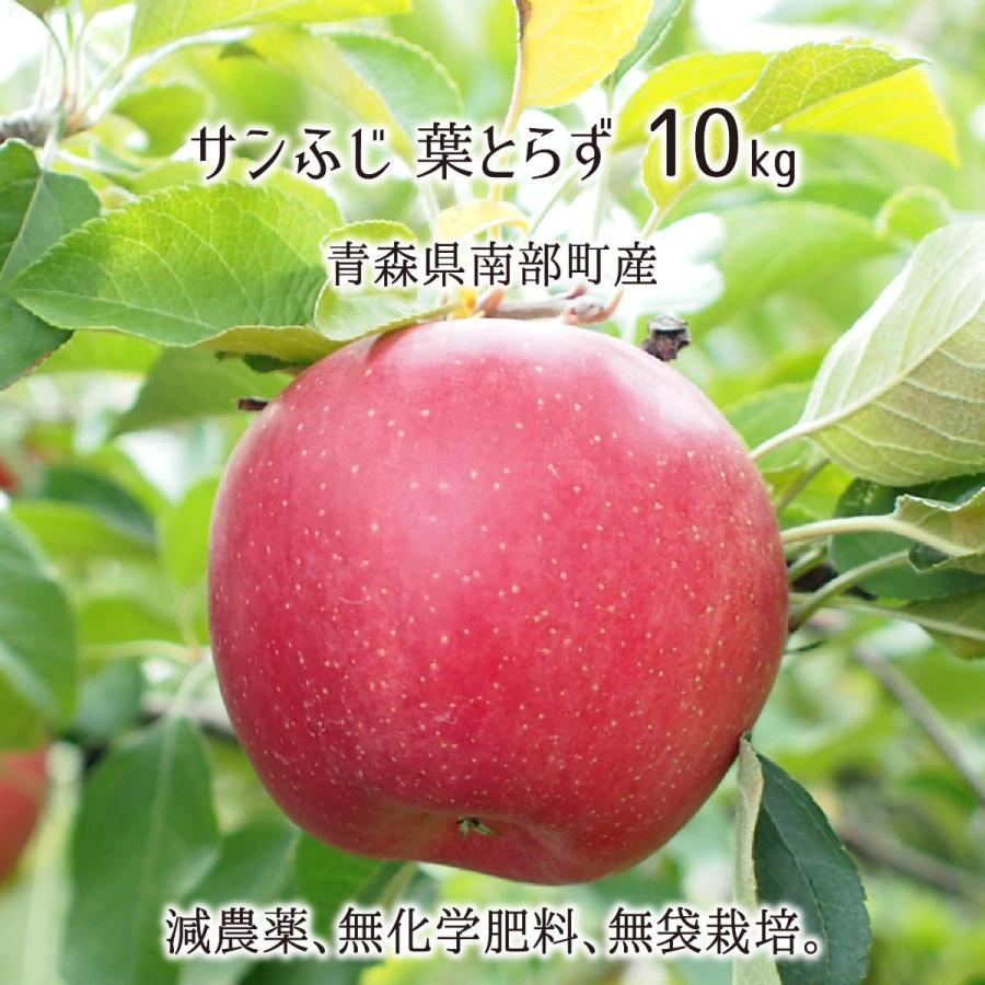 サンふじ 葉とらず 10kg 減農薬 無化学肥料 青森県南部町産 りんご 家庭用 26〜40玉 11月下旬〜3月下旬 送料無料