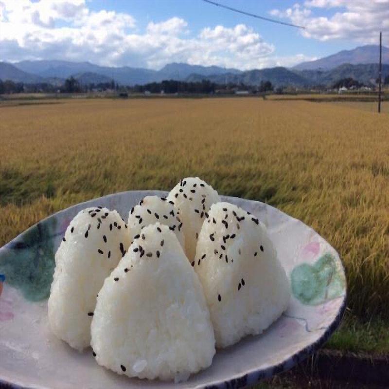 ササニシキ 米 宮城県産 玄米 ２０Kｇ 袋 送料無料