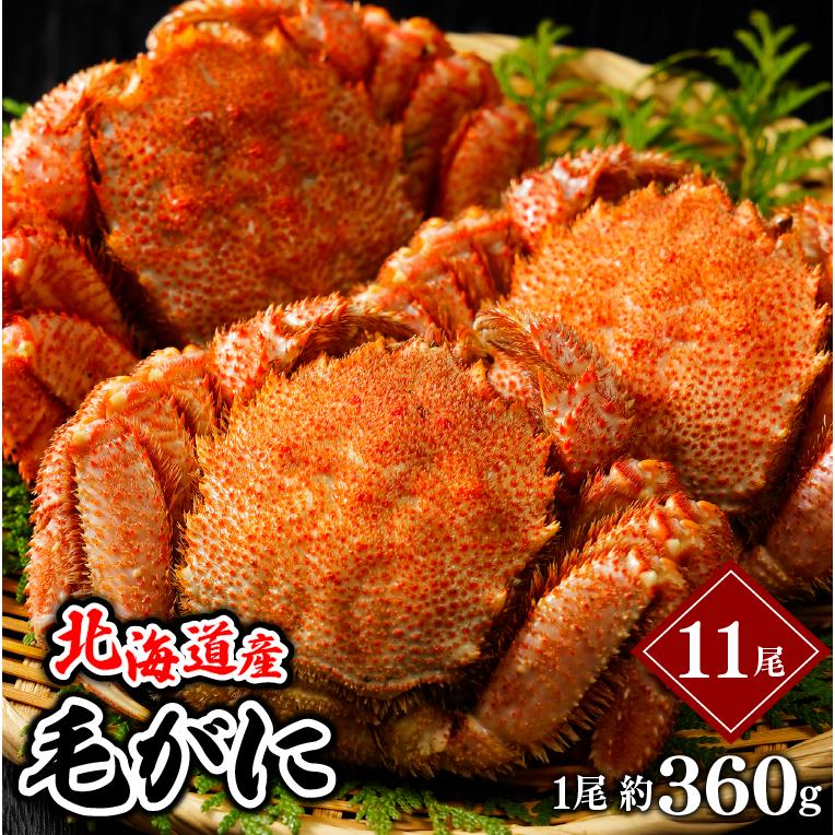 お歳暮 カニ ギフト 送料無料 北海道産 毛ガニ 1尾 360g×11尾(ボイル