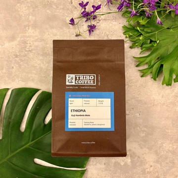 衣索比亞 古吉 花蝶 日曬 淺焙 (半磅咖啡豆)