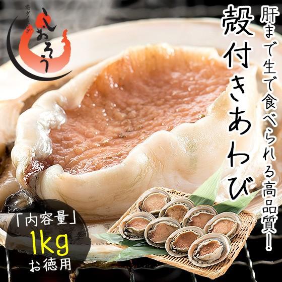 アワビ あわび 鮑 殻付き 1kg（約8〜9粒入り） 翡翠の瞳 冷凍アワビ 冬グルメ 冬ギフト