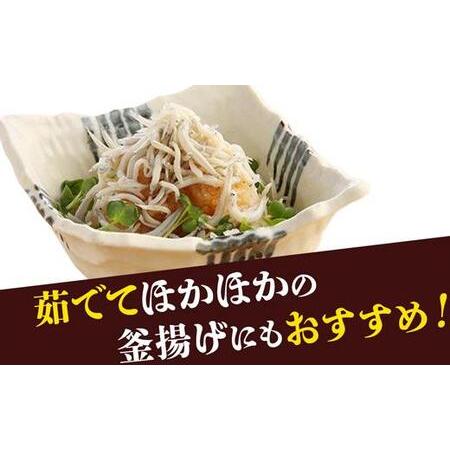 ふるさと納税 志布志湾のめぐみ　冷凍生しらす　10パック 鹿児島県大崎町