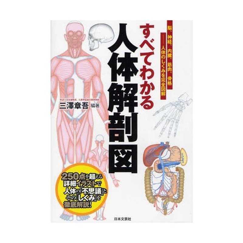 すべてわかる人体解剖図 脳 神経 内臓 筋肉 骨格 人体のしくみを完全図解 250点を超える詳細イラストで人体の 不思議 とその しくみ を徹底解説 通販 Lineポイント最大0 5 Get Lineショッピング