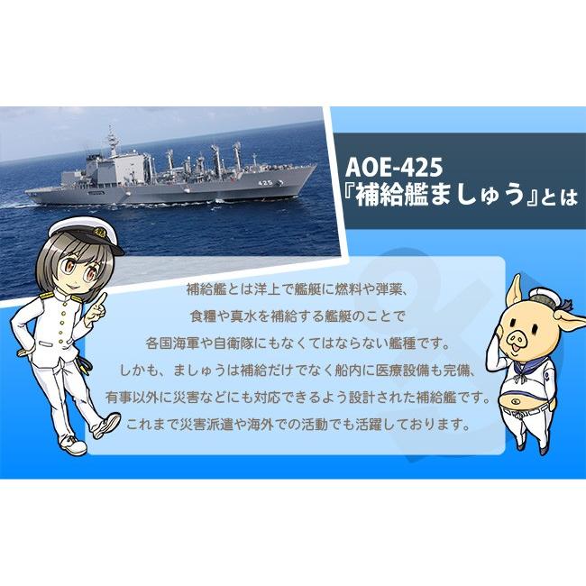 海上自衛隊『補給艦ましゅう』のとろとろ牛すじカレー レトルト 200g×3食入り×2箱  6食入り