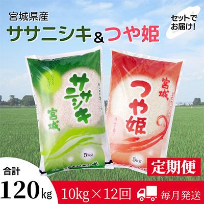 ふるさと納税 登米市 2024年1月発送開始『定期便』食べ比べセット(ササニシキ・つや姫 精米 各5kg)全12回