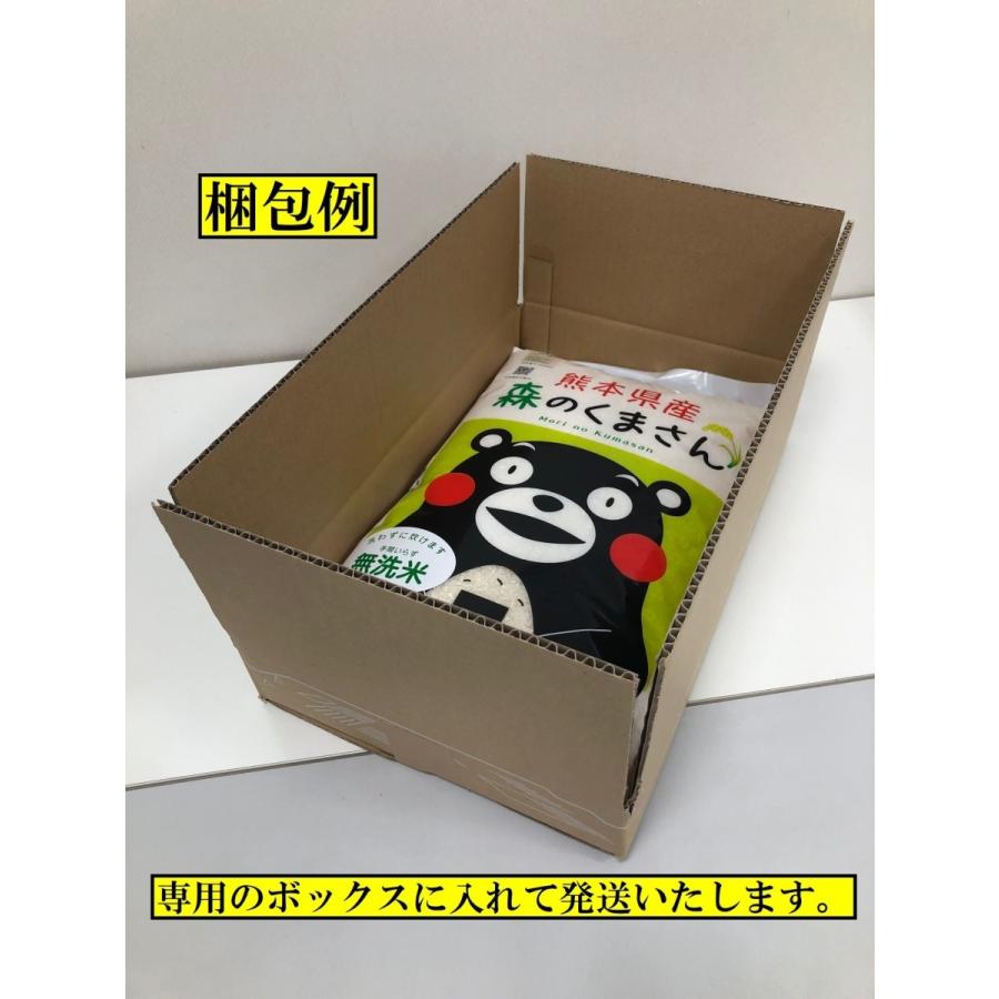 新米　米　お米　１０ｋｇ　（５ｋｇ×２）　くまモン　森のくまさん　無洗米　熊本県産　令和５年産　送料無料