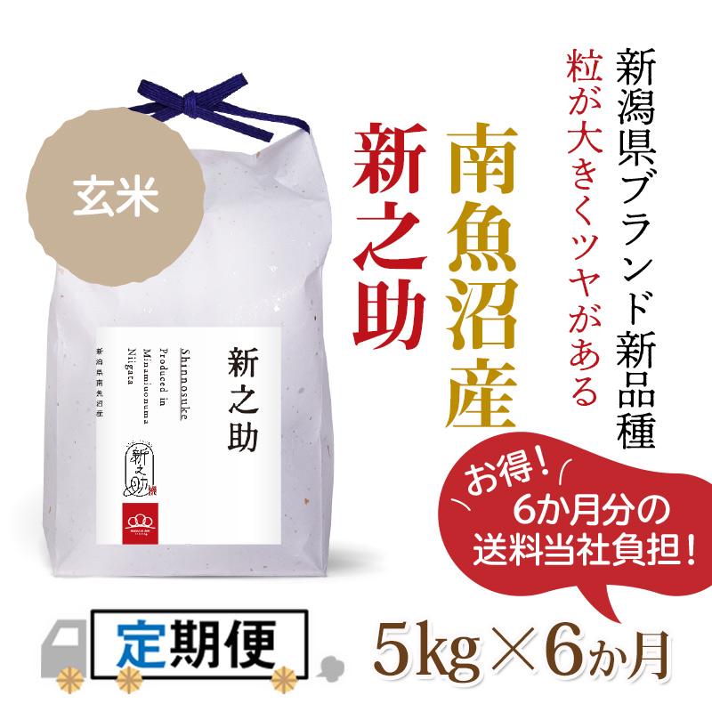 ★令和5年度新米からSTART★玄米5kg×6か月 南魚沼産新之助（全額先払い制）