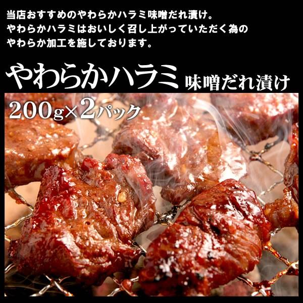 肉 牛肉 焼肉 焼き肉 セット バーベキューセット  肉 牛赤身3種盛り ハラミ 牛ロース ジューシーカルビ 3-4人前 計1.2kg BBQ 肉 牛肉 食品