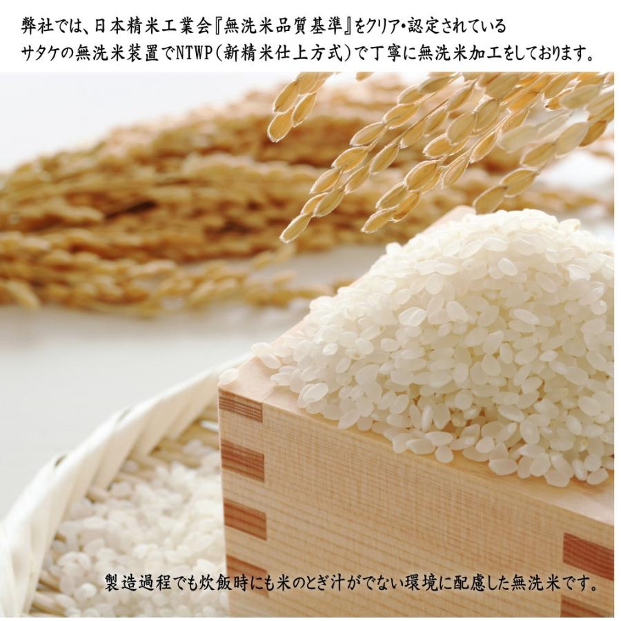 米 新米 令和5年産 米 無洗米 10kg どんぴしゃり 5kg×2袋 岩手県産 送料無料