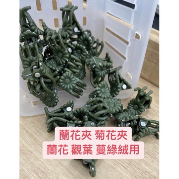 【植感蕨起】蘭花夾 10入裝 蔓綠絨 觀葉 菊花夾 花梗夾 嫁接夾 番茄夾 果梗 苦瓜夾 蘭花夾 植物固定夾 夾子 綠色