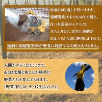 ＜アスカ有機農園＞旬の京野菜セットL（平飼い卵付）＊毎月お届け全4回≪定期便 ふるさと納税野菜 たまご≫