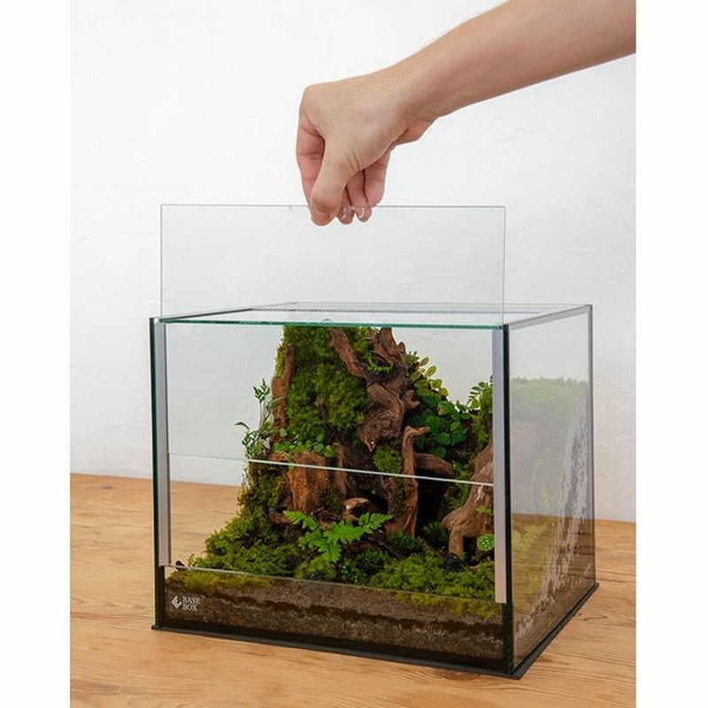 仕様変更に伴い販売休止中 再販調整中 Base Box ベースボックス Pd 002 High Type ハイタイプ パルダリウム ビバリウム コケリウ 通販 Lineポイント最大0 5 Get Lineショッピング