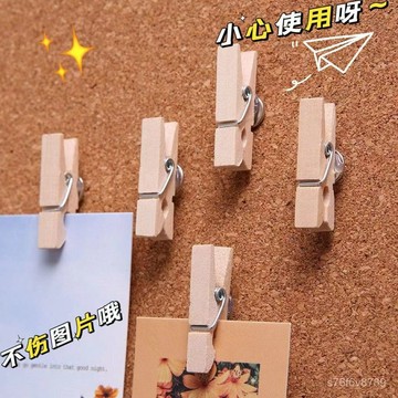 【適用毛氈闆 軟木闆】圖釘 美工釘 工字釘 固定釘 彩色木夾子圖釘創意嵌釘式照片夾軟木闆按釘毛氈釘不傷照片工字釘