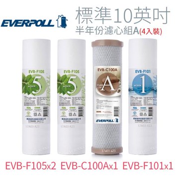 【EVERPOLL】標準10英吋 半年份濾心組A(4入)
