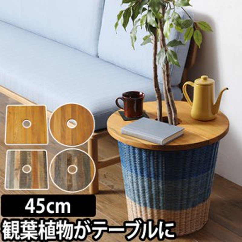 ミニテーブルプランツテーブル Plt Plants Table 45cm プランター 植木鉢 鉢植え 観葉植物 インテリア コーヒーテーブル 天然木 ウッド 通販 Lineポイント最大1 0 Get Lineショッピング