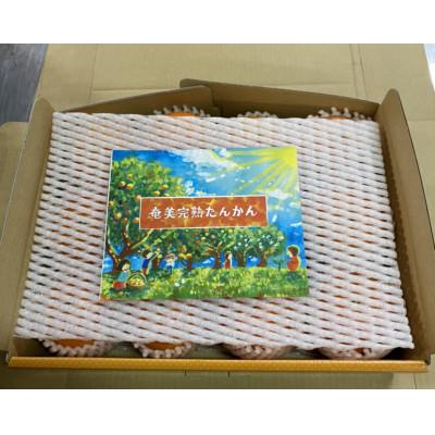 ふるさと納税 奄美市 奄美完熟たんかん贈答用2kg〈秀品〉