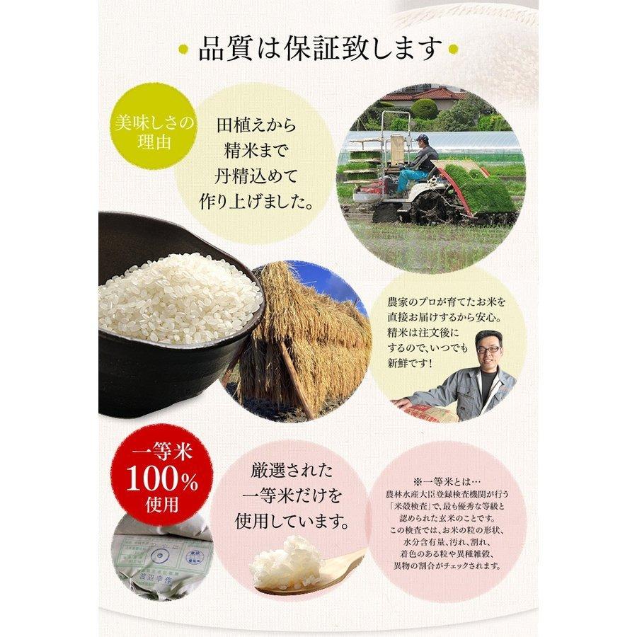 米 10kg 送料無料 つや姫 宮城県産 新米 お米 米 一等米 白米 うるち米 おいしい  10キロ (5kg×2袋)