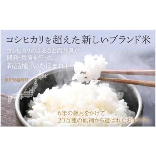 ふるさと納税 福井県 越前町 定期便 ≪12ヶ月連続お届け≫ いちほまれ 10kg × 12回（計120kg）特A通算5回！令和5年 福井県産…