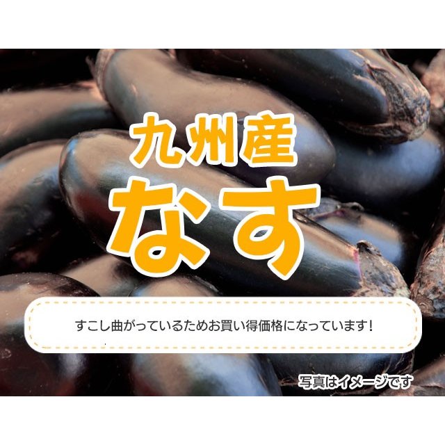 九州産　なす　１袋500g