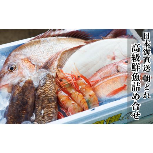 ふるさと納税 新潟県 糸魚川市 日本海直送 高級鮮魚ボックス 旬の魚詰め合せ 魚のプロが選んだ厳選魚  新潟 糸魚川 能生漁港から朝獲れ新鮮な魚をお届け 生 (…