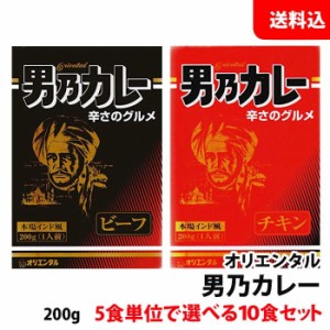 送料無料  男乃カレー(ビーフ・チキン) 選べる10食セット オリエンタル カレー