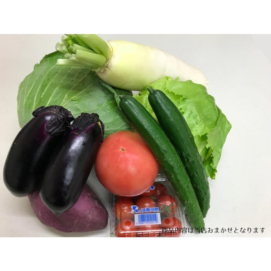 旬の新鮮野菜おまかせセット おまかせ１０品目 国内産