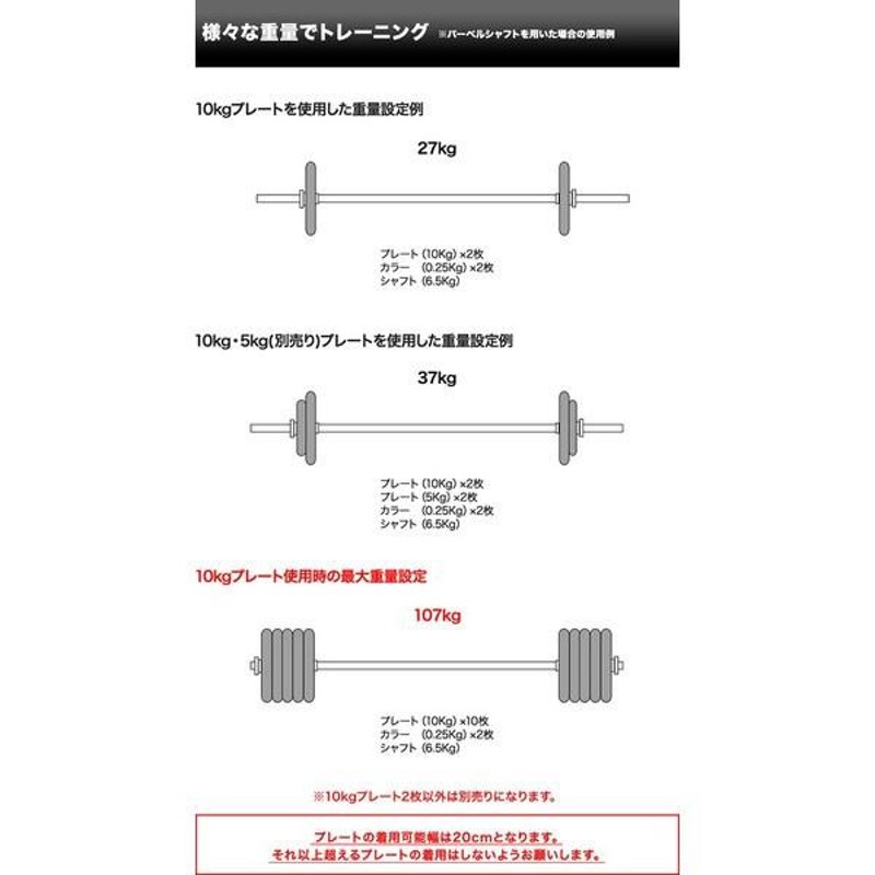 スポーツ/アウトドアアイロテックプレート 10キロ x2枚 バーベルプレート 10kg ×2