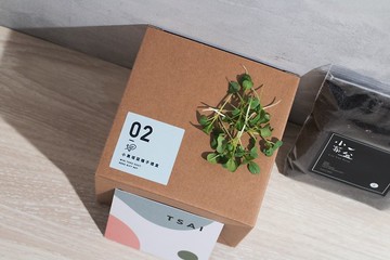 02小黑踏菜種子_入坑禮物盒