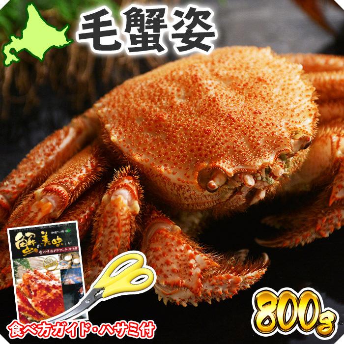 蟹 ギフト カニ 毛ガニ 姿 800g かに ボイル 北海道 毛蟹 特大 蟹味噌 食べ物