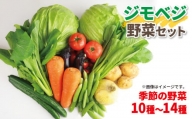 野菜 詰め合わせ セット 減農薬 10~14種類 農家 直送 旬 採れたて やさい お試し 野菜 炒め 野菜 スープ 野菜 健康