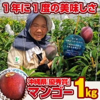 芳醇な香り　とろける食感　沖縄県「優秀賞」マンゴー1kg