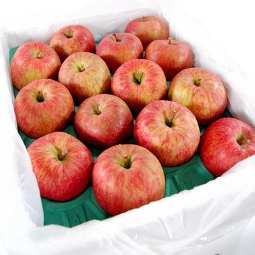 鮮果日誌 日本空運青森蜜蘋果(28入日本進口原箱)